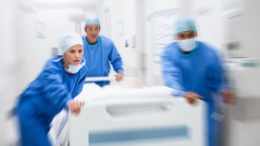 Foto: Shutterstock
