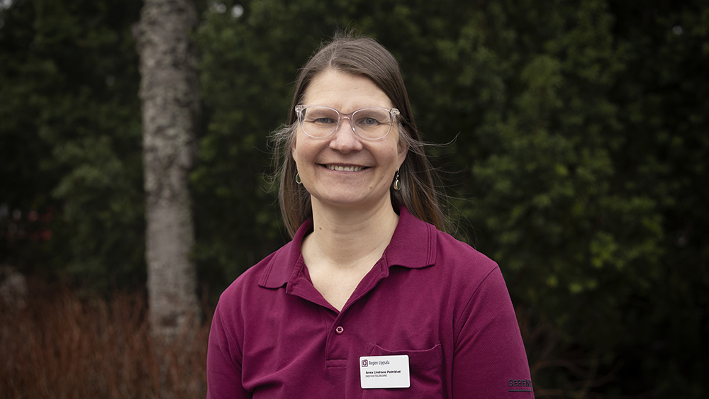 Anna Lindroos Palmblad berättar att den ökade kontinuiteten gäller även för vårdcentralens kompetenta sjuksköterskor som tidigare fick konstruera nödlösningar i brist på läkartider. Foto: Mikael Wallerstedt